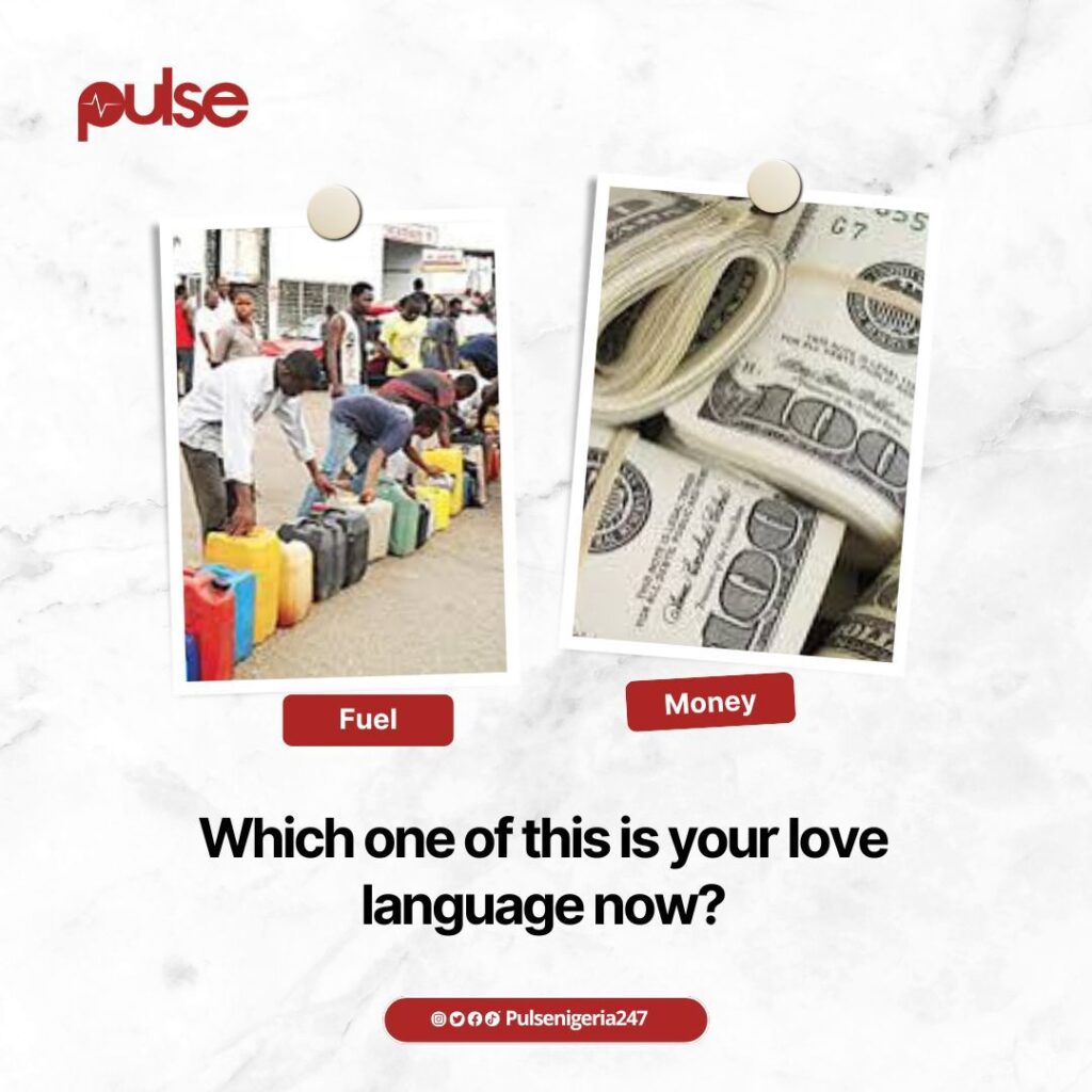 WhatsApp Image 2024 04 30 at 09.48.52