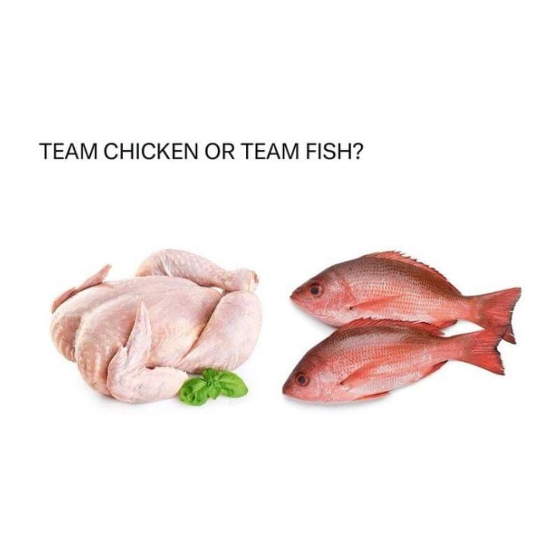 Team Chicken or Fish