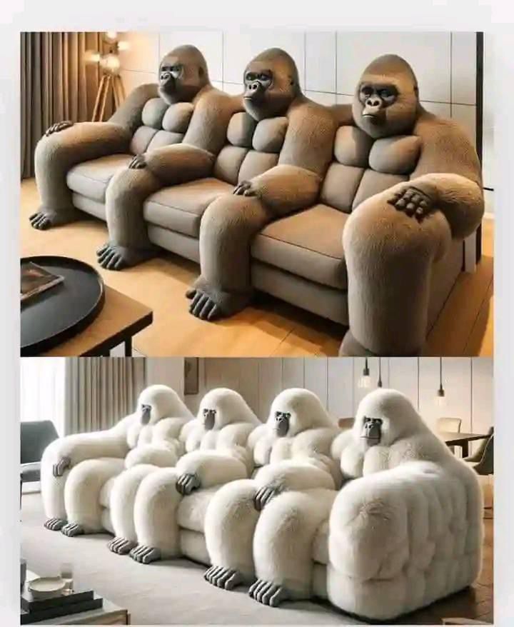 First couch made in Gorilla form