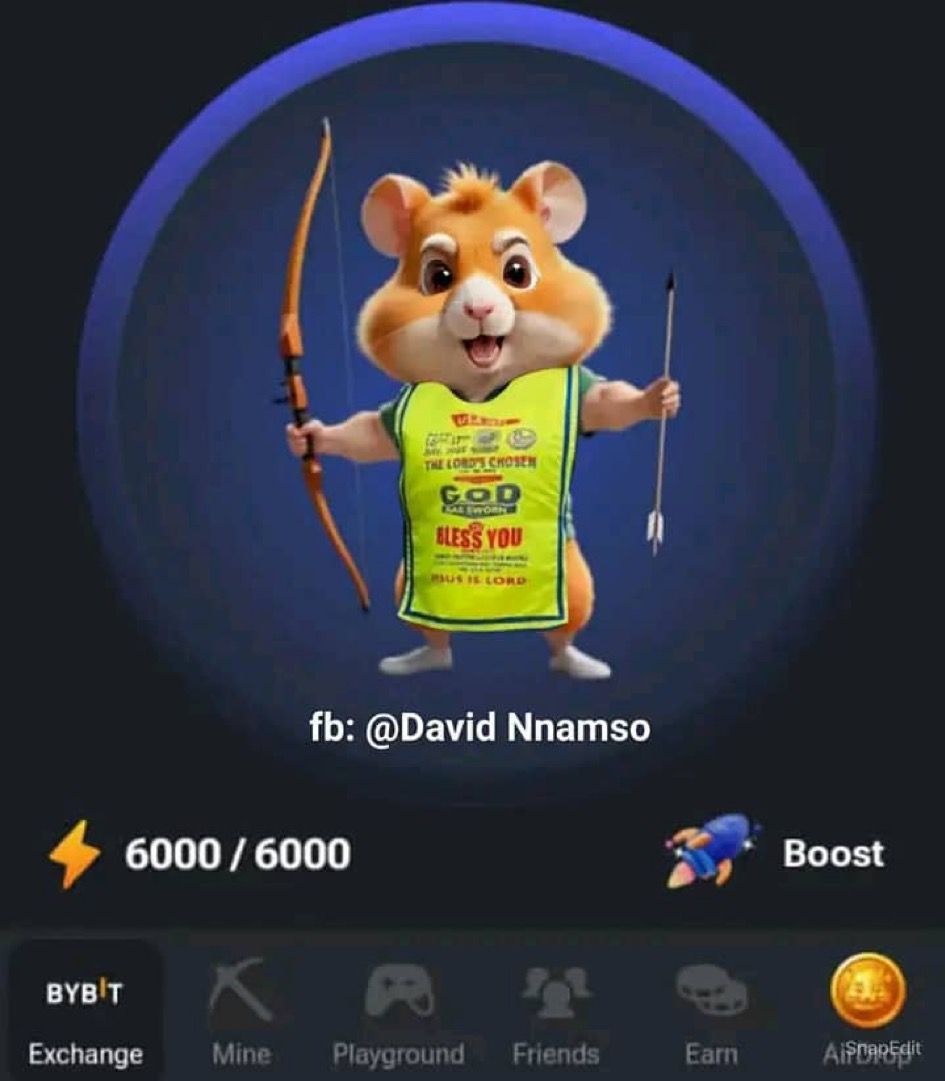 Hamster Combat Update