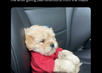 Sorry not Sorry 🥺