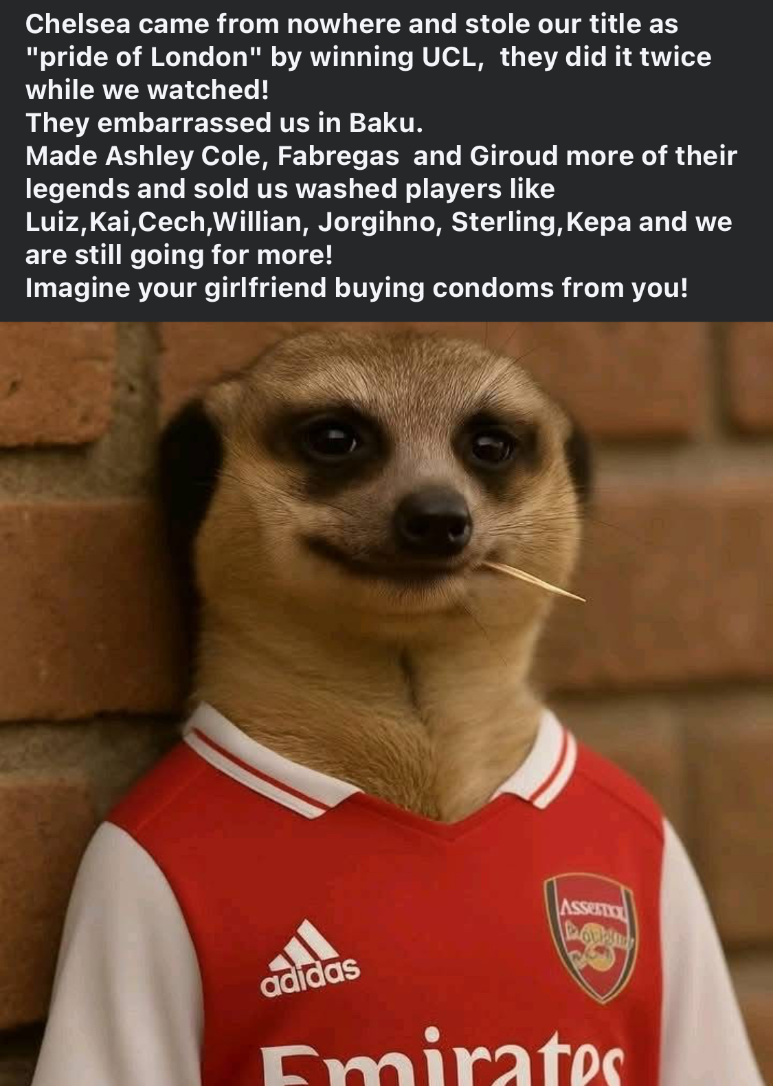 Arsenal FC and their fans getting cooked everywhere 🤣😂