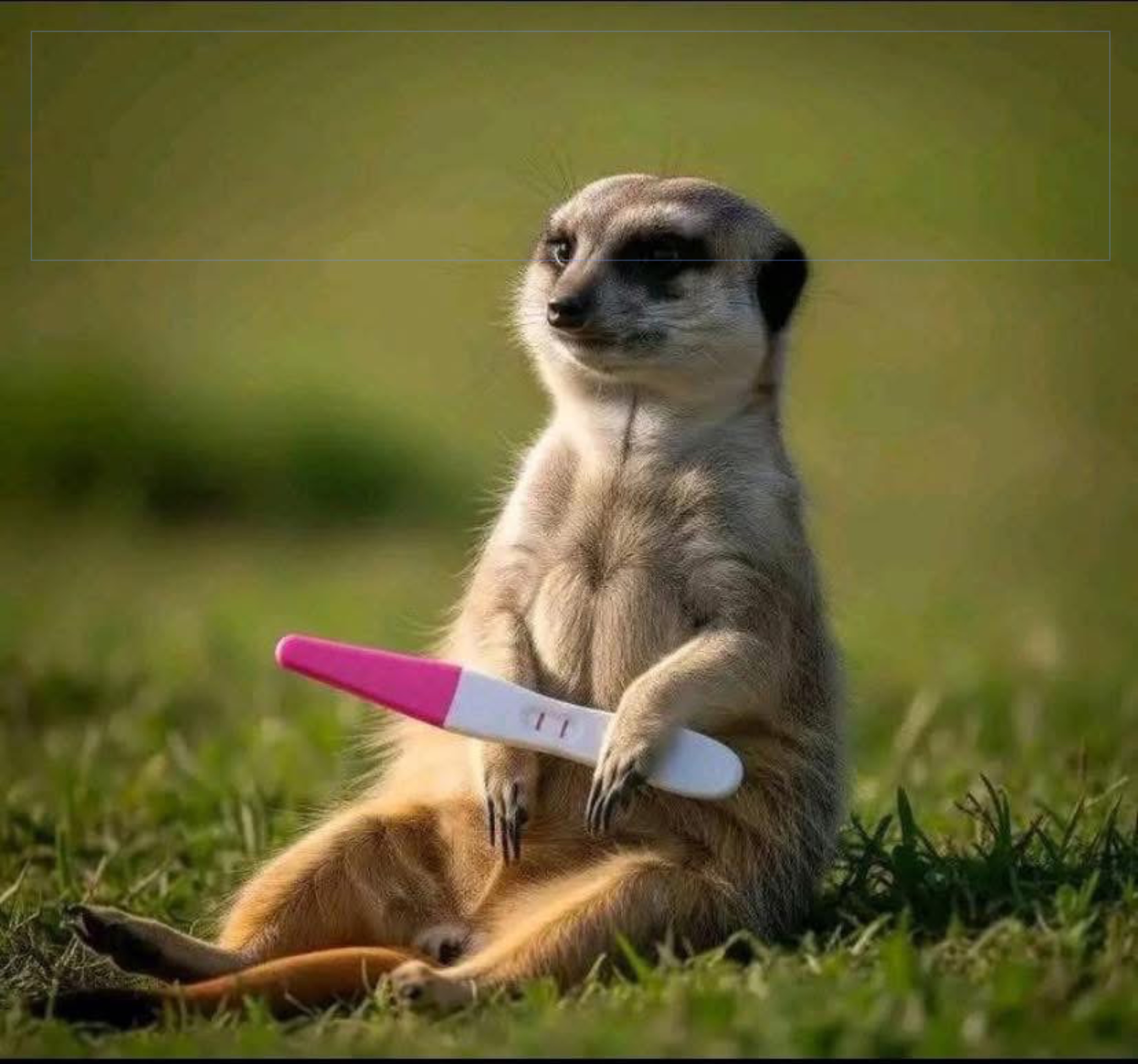 Why is Bro trending🫣🤔